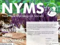Sites similar to newyorkmyc.org