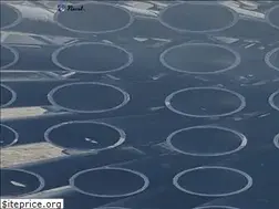 Sites similar to nexst-inc.co.jp