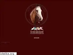Sites similar to nezpercehorseregistry.com
