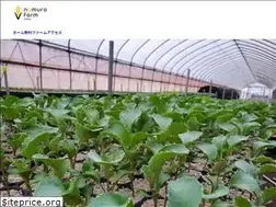 Sites similar to nf831.jp