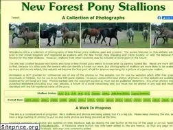 Sites similar to nfstallions.info