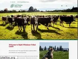 Sites similar to ngatiwhakaue.iwi.nz