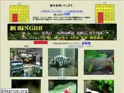 Sites similar to ngbr.net