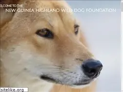 Sites similar to nghwdf.org