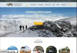 Sites similar to ngorongoroexpedition.com