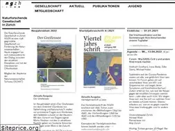 Sites similar to ngzh.ch