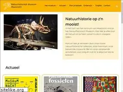 Sites similar to nhmmaastricht.nl