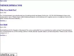 Sites similar to nhmoldpro.com