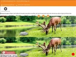 Sites similar to nhunghuoungoclinh.com
