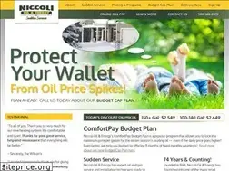 Sites similar to niccolienergy.com