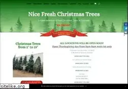 Sites similar to nicechristmastrees.com