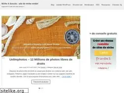 Sites similar to nicheasucces.com