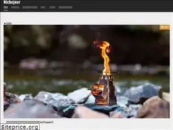 Sites similar to nichejour.com