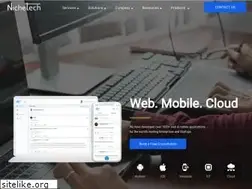 Sites similar to nichetechsolutions.com