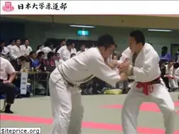 Sites similar to nichidai-judo.com