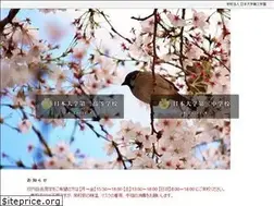 Sites similar to nichidai3.ed.jp