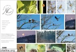 Sites similar to nickchill.com