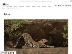 Sites similar to nickdalephotography.com