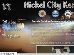 Sites similar to nickelcitypits.com
