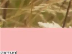 Sites similar to nickitamusic.com