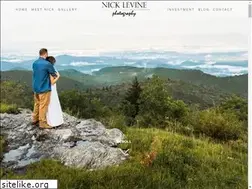 Sites similar to nicklevinephoto.com