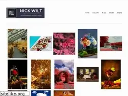 Sites similar to nickwilt.com