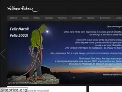 Sites similar to niclevicz.com.br