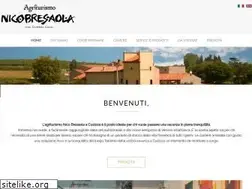 Sites similar to nicobresaola.it
