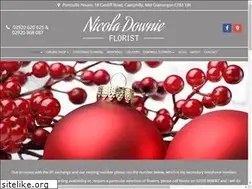 Sites similar to nicoladownie.co.uk