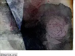 Sites similar to nicolaginzel.com