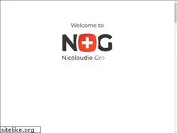 Sites similar to nicolaudiegroup.com
