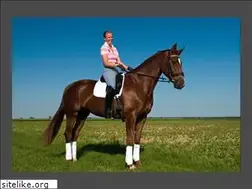 Sites similar to nicole-janssen.de