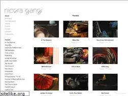 Sites similar to nicoragangi.com