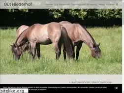 Sites similar to niederhof-quarterhorses.de