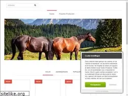 Sites similar to nienoord-ruitersport.nl