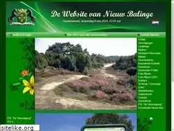 Sites similar to nieuwbalinge.eu