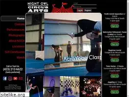 Sites similar to nightowlcircusarts.com