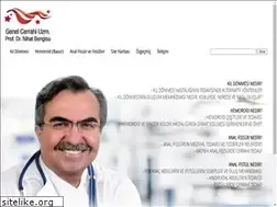 Sites similar to nihatbengisu.com