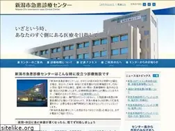 Sites similar to niigata-er.org