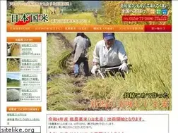 Sites similar to niigata-kome.jp