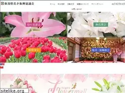 Sites similar to niigataflower.jp