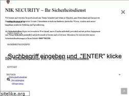 Sites similar to nik-security.de