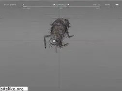 Sites similar to nikitadiakur.com