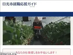 Sites similar to nikko-job.com