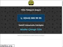 Sites similar to nilufercilingir.com