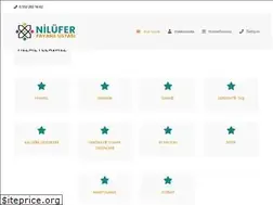 Sites similar to niluferfayansustasi.com