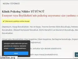 Sites similar to nilufertutuncu.com