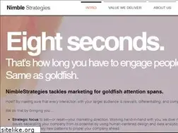 Sites similar to nimblestrategies.com