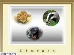 Sites similar to nimrods.de