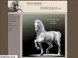 Sites similar to ninaakamu.com
